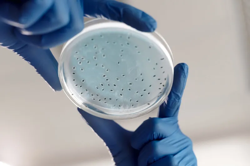 Beneath the Surface, Inside the Cell: What Cave Bacteria Are Teaching Scientists About the Future of Medicine