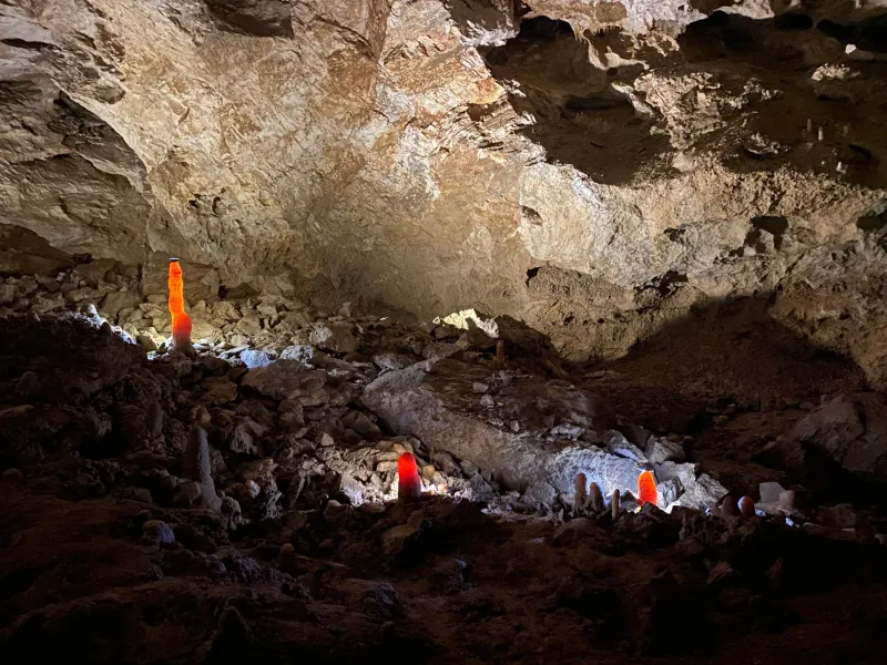 Darkness as a Laboratory: How Cave Fungi May Offer New Weapons in the Fight Against Antibiotic Resistance