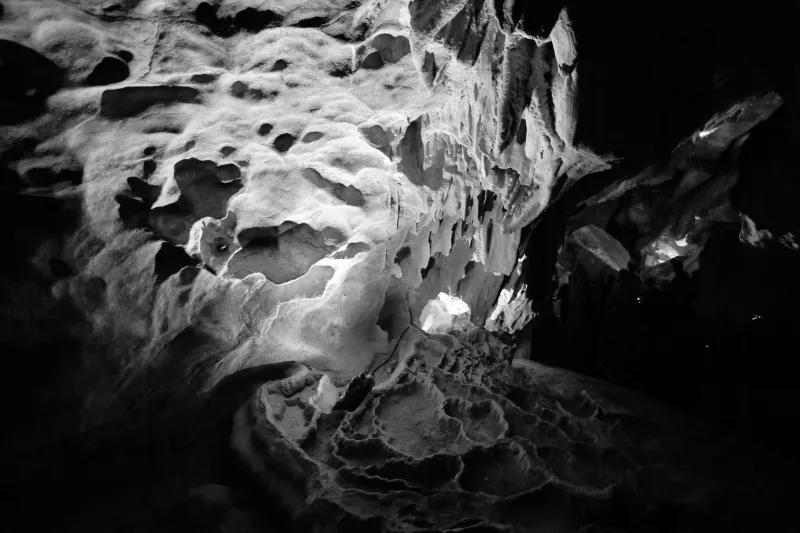 Eight Legs in the Abyss: What Cave Spiders Reveal About the Assembly of Underground Life