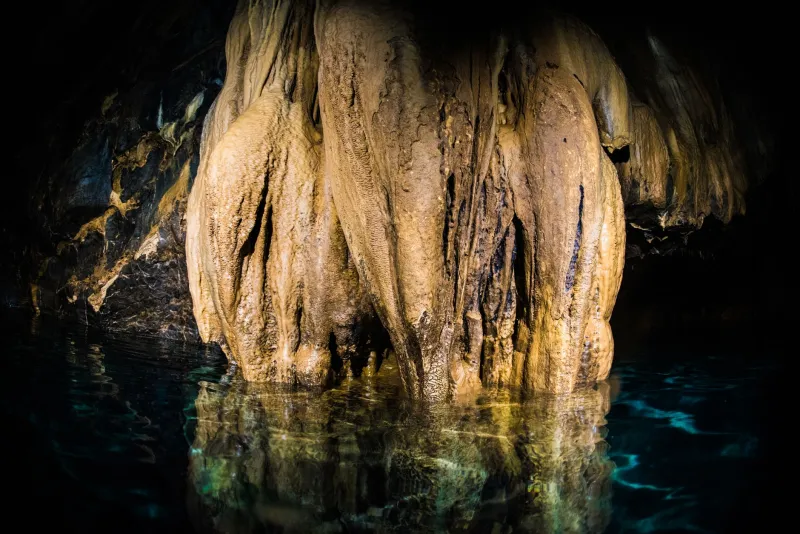 Life in the Dark: The Extraordinary Biological Communities Thriving Inside America's Cave Systems